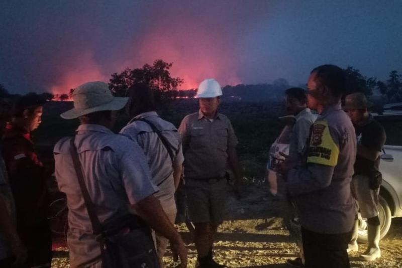 TNI-Polri Dibantu Warga Berhasil Memadamkan 5 Hektare Lahan Membara di Pelalawan