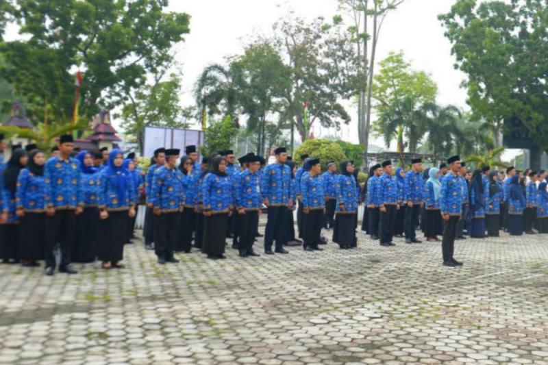 Pendaftaran Seleksi CPNS Pemprov Riau Resmi Dibuka, Begini Cara Daftarnya
