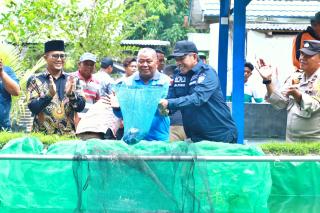 Bupati Siak Alfedri Panen Perdana Budidaya Ikan Lele di Kampung Sawit Permai