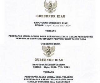 Dua Desa di Bengkalis Terima Penghargaan PKAD dan Penurunan Stunting dari Gubernur Riau
