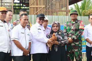 Kelompok Tani di Siak Dapat Bantuan 500 Ekor Ayam Layer