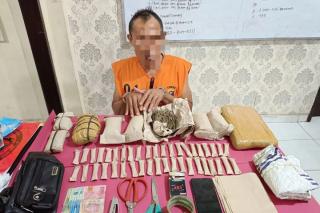 Polres Siak Tangkap Pria Miliki 1,8 Kg Ganja Kering