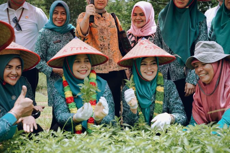 TP PKK Provinsi Riau Apresiasi Pertanian Kota Pekanbaru Terus Berkembang