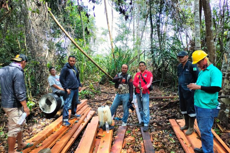 Polisi Tangkap Lima Pelaku Pembalak Liar di Desa Tamiang Bengkalis
