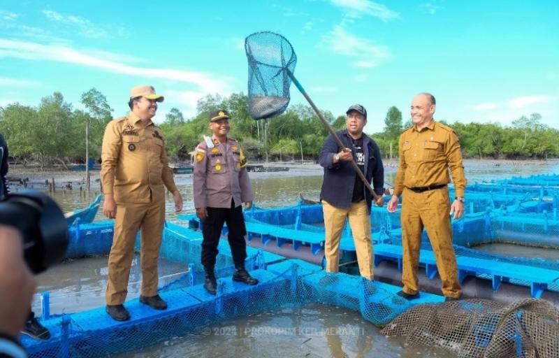 Pjs Bupati Meranti Tinjau Sektor Perikanan di Rangsang Barat