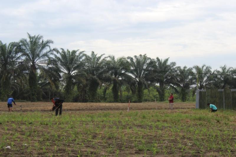Dukung Ketahanan Pangan Daerah, Pemkab Kampar Lakukan Kerja Sama dengan Lapas 2 A Bangkinang