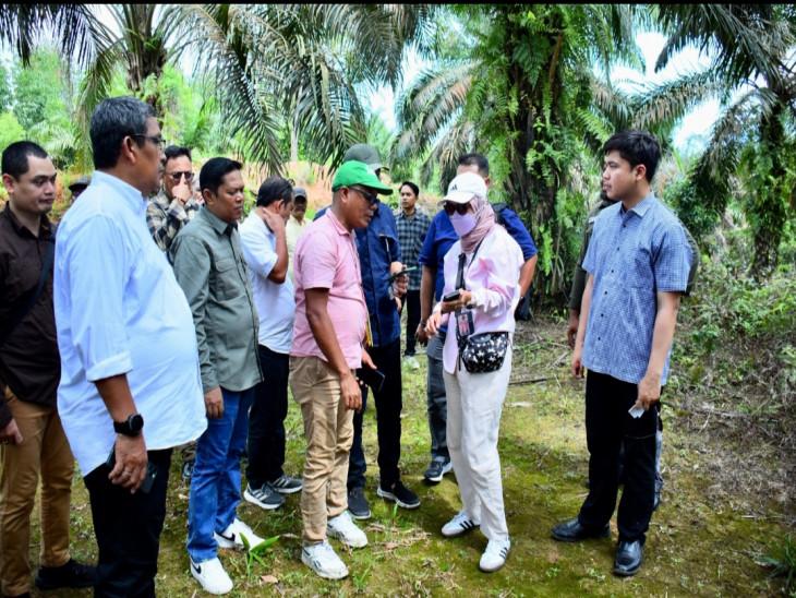 Pemkab Dampingi Tim Menko Polhukam dalam Peninjauan Lapangan Tanah Ulayat Persukuan Piliang Ganting