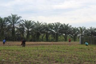 Dukung Ketahanan Pangan Daerah, Pemkab Kampar Lakukan Kerja Sama dengan Lapas 2 A Bangkinang