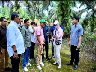 Pemkab Dampingi Tim Menko Polhukam dalam Peninjauan Lapangan Tanah Ulayat Persukuan Piliang Ganting
