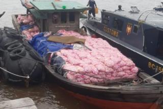 Bea Cukai Bengkalis Gagalkan Penyelundupan 30 Ton Bawang Putih dari Malaysia