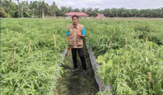 Wiyono, Duta Petani Milenial Angkatan I Asal Kota Dumai, Omzet Pertahun Gak Main-Main