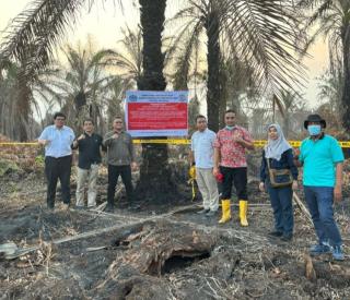 KLH Segel 4 Perusahaan dan Tutup Satu Pabrik Sawit Terkait Karhutla Riau