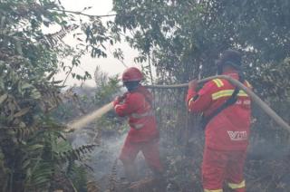 Riau Berpotensi Hujan, Hotspot Masih Terdeteksi 156 Titik