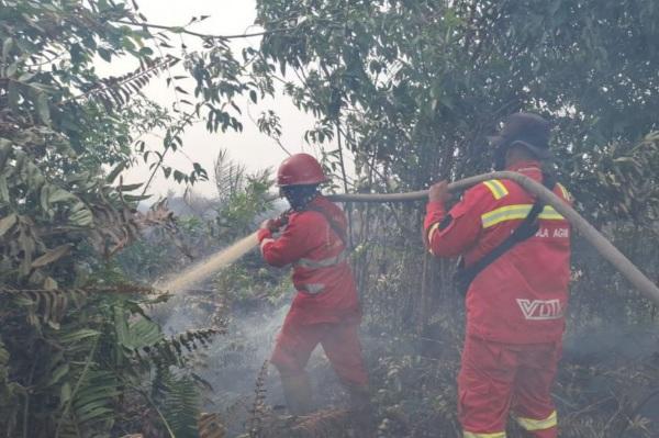 Dua Pelaku Pembakar Lahan di Inhu Diringkus Polisi