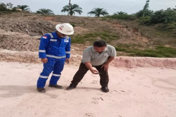 Jejak Harimau Sumatra Terdeteksi di Kawasan Kerja Pertamina Hulu Rokan (PHR) Siak