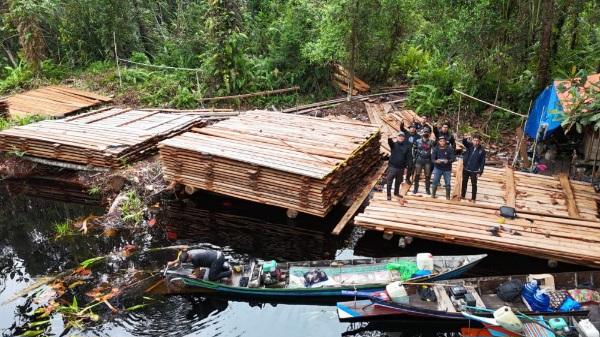 300 Meter Kubik Kayu Ilegal Disita di Inhu, KLH: Setara 120 Pohon Tumbang!