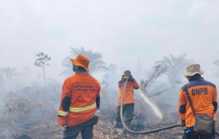 Waspada Karhutla! 46 Titik Panas Terdeteksi di Riau