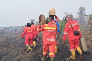 Kondisi Terkini Karhutla Riau: Tim Gabungan Masih Berjibaku di Tahap Pendinginan