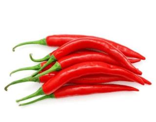 Harga Cabai Merah di Pekanbaru Masih Stabil