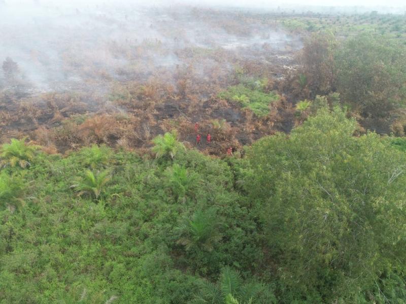 Sebanyak15 Titik Api Terpantau, Bengkalis dan Pelalawan Masih Jadi Fokus Pemadaman